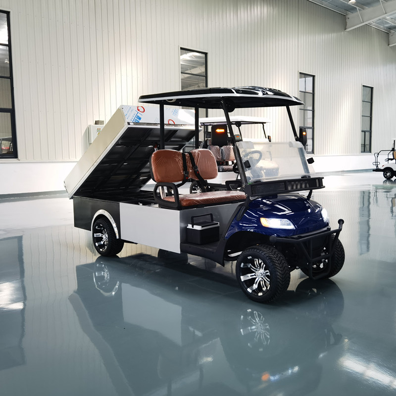 Golf cart with cargo bed6.jpg